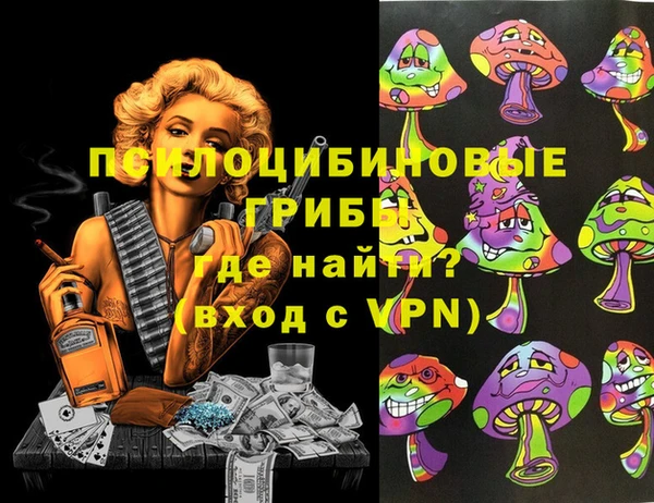 индика Киренск