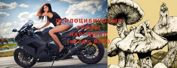 индика Киренск