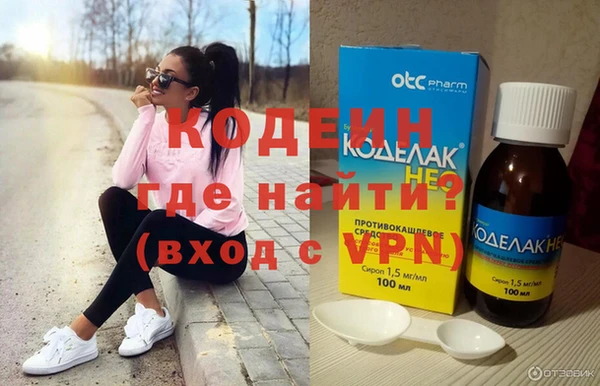 индика Киренск