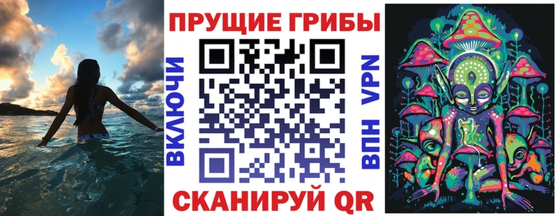 Галлюциногенные грибы Psilocybine cubensis  kraken ТОР  Вытегра 